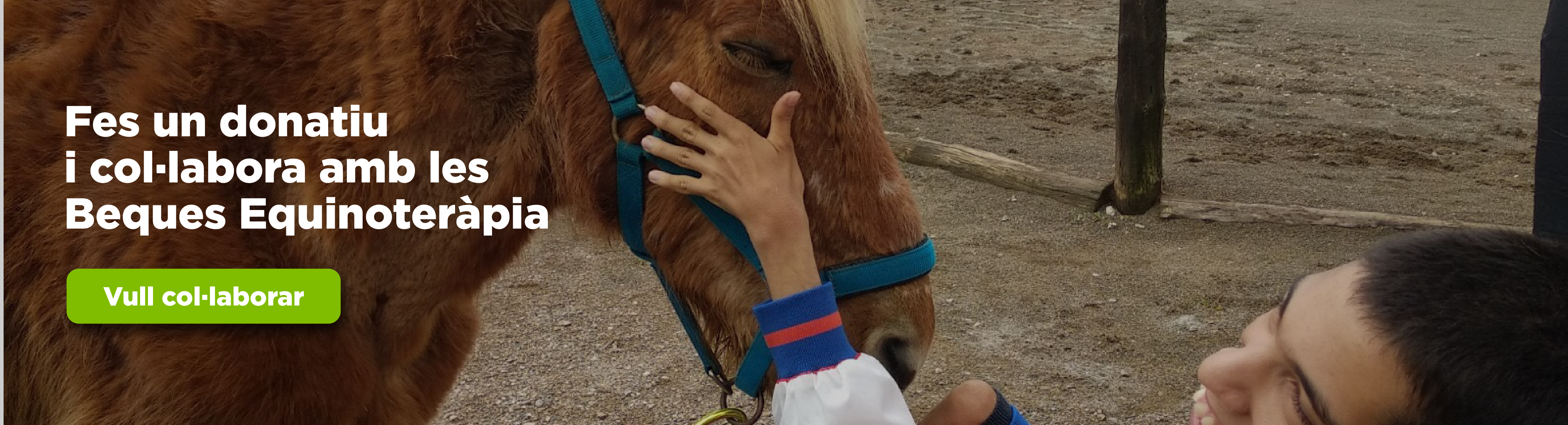 Imatge d'un infant acariciant un cavall. Per col·laborar amb una campanya de donació per a beques d'equinoteràpia. 